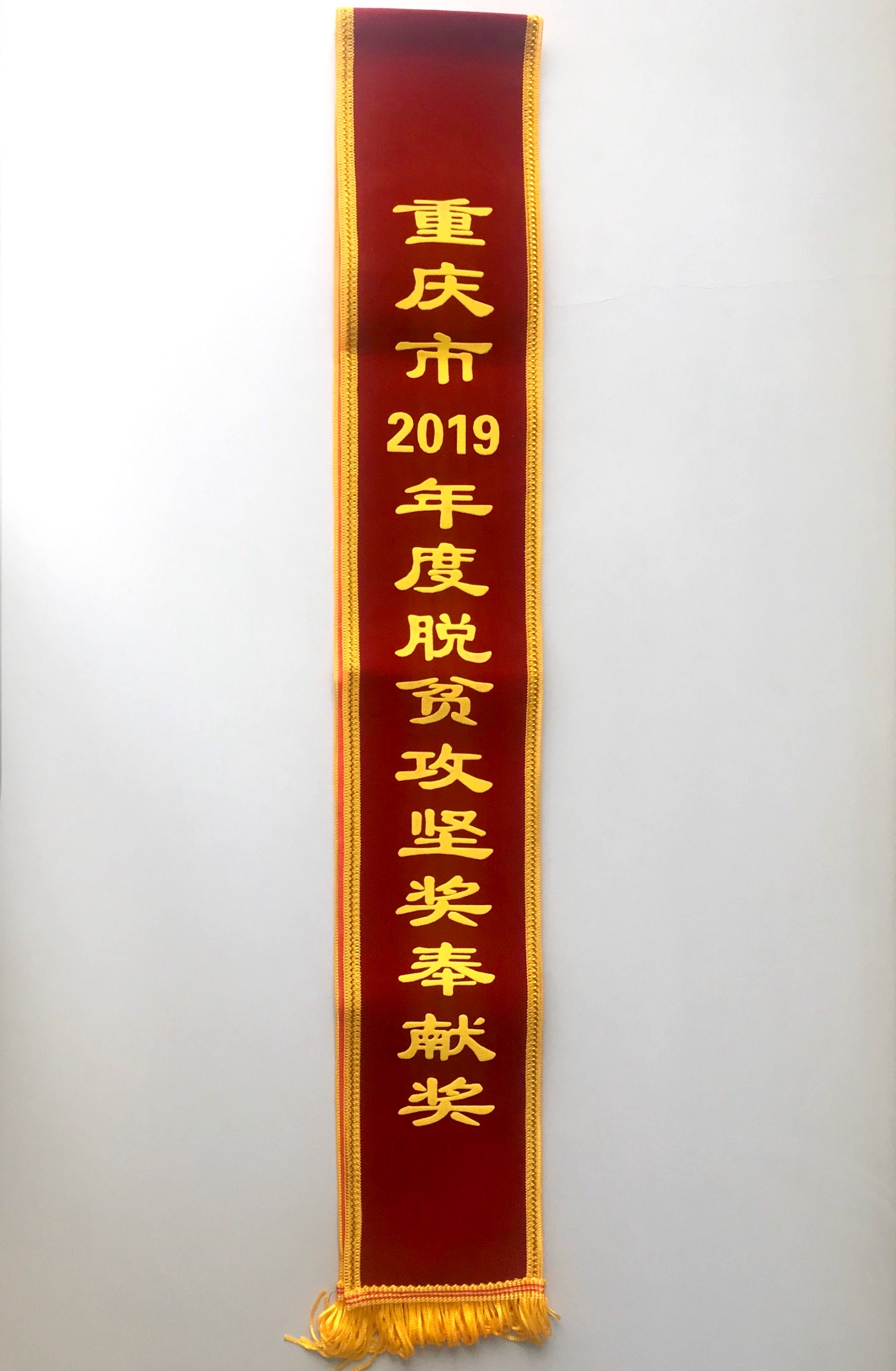 重慶市2019年度脫貧攻堅獎-奉獻(xiàn)獎